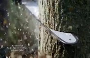 Sofia Ormanları Yok Etmez 2015 Reklam Filmi