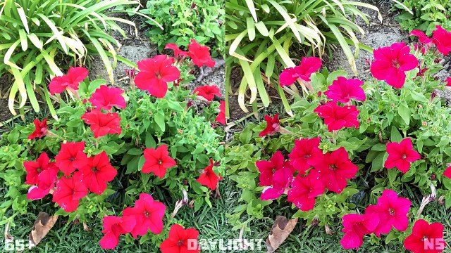 iPhone 6s Plus vs Galaxy Note 5: Camera Comparison!