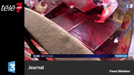 Le zapping du 15/10 : Zlatan Ibrahimovic reçoit un disque d’or !