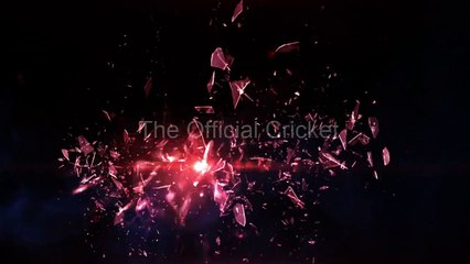 Laxman Reply To McGrath After Gettting Hit By A Bouncer