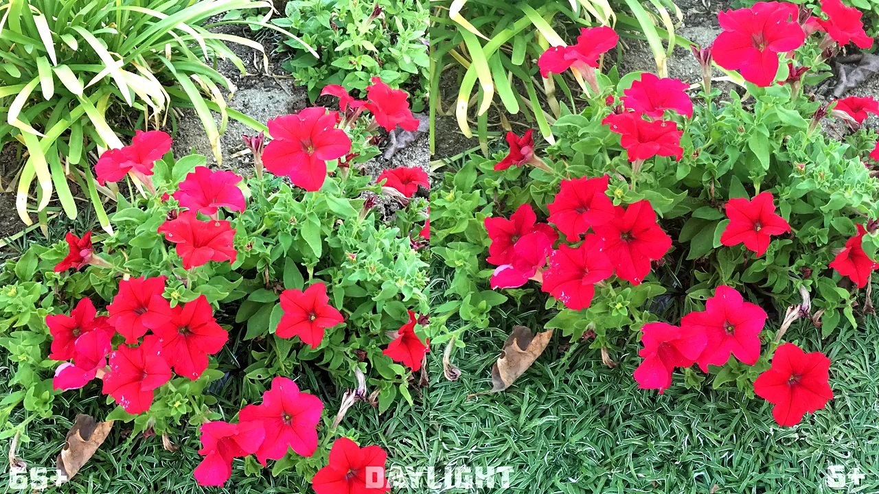 iPhone 6s Plus vs iPhone 6 Plus Camera Comparison!