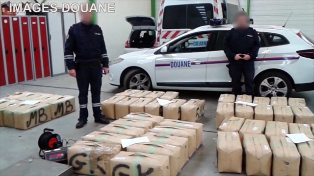 Presque 2 tonnes de cannabis saisies dans la région nantaise !