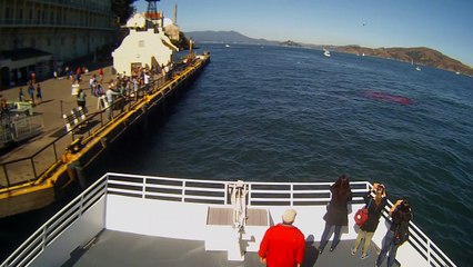 Un grand requin blanc attaque un phoque face caméra