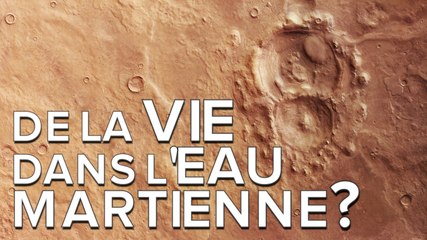 Interview : l’eau liquide martienne pourrait-elle abriter la vie ?
