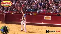 Bullfighting in Spain Festival 2015 Best funny videos