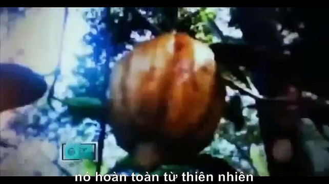 Perfect Body thuốc giảm cân nhanh nhất hiệu quả và an toàn. BEST SELLER TẠI AMAZON MỸ