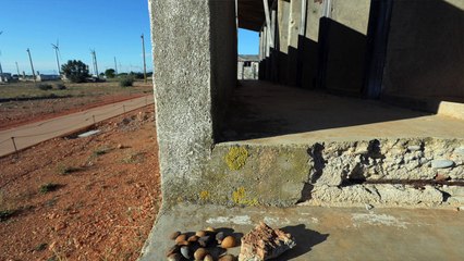 Mémorial de Rivesaltes