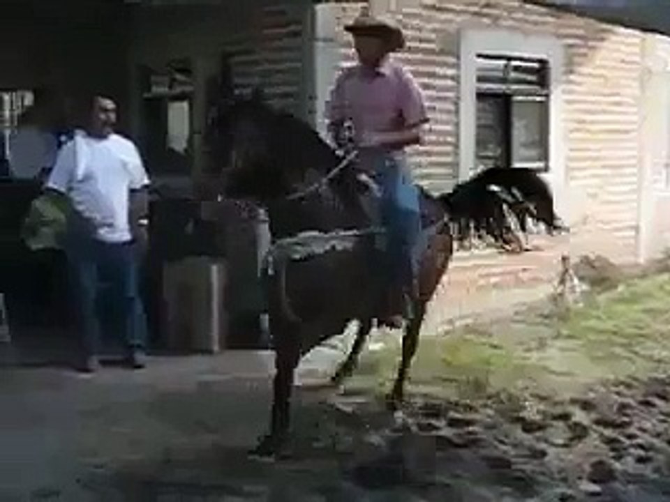 British Horse Dance
