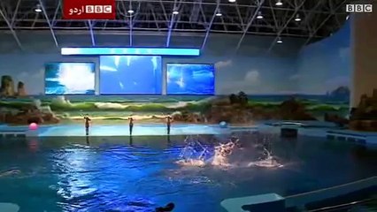 شمالی کوریا کی حکمراں جماعت کی 70ویں سالگرہ