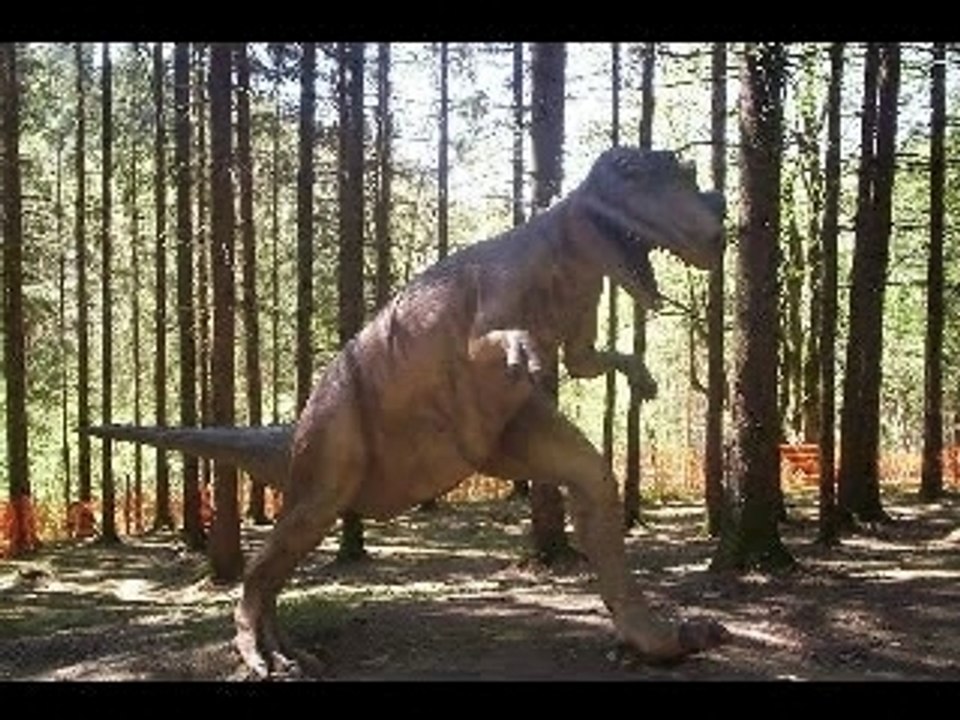 Dinosaures