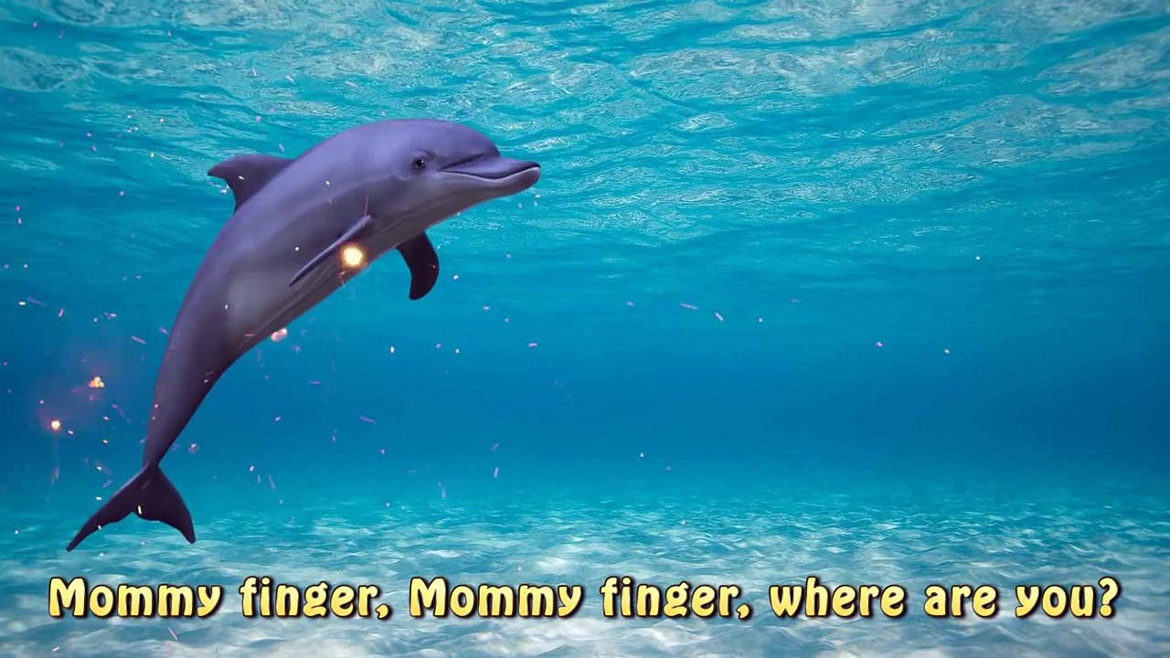 Sea Animal Finger Family Nursery Rhyme | Whale Orca Killer Whale ...
