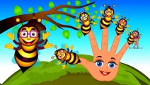 Honey Bee Finger Family _ Daddy Finger Family Songs _ Honey Bee Cartoon Animation Rhymes f
