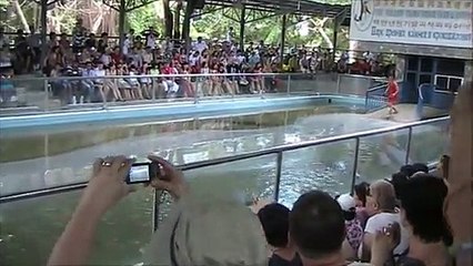 Thaïlande : ce dresseur rentre son bras dans l’estomac d'un crocodile