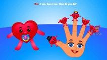 Finger Family Heart (Love) Finger Family Nursery Rhymes for Children Finger Family Songs f