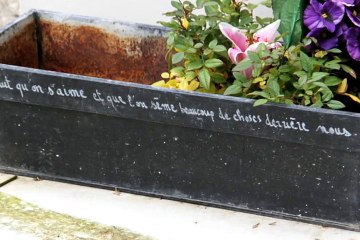 Stars des cimetières 2 - Alain Bashung