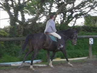 Centre equestre de la chapelle