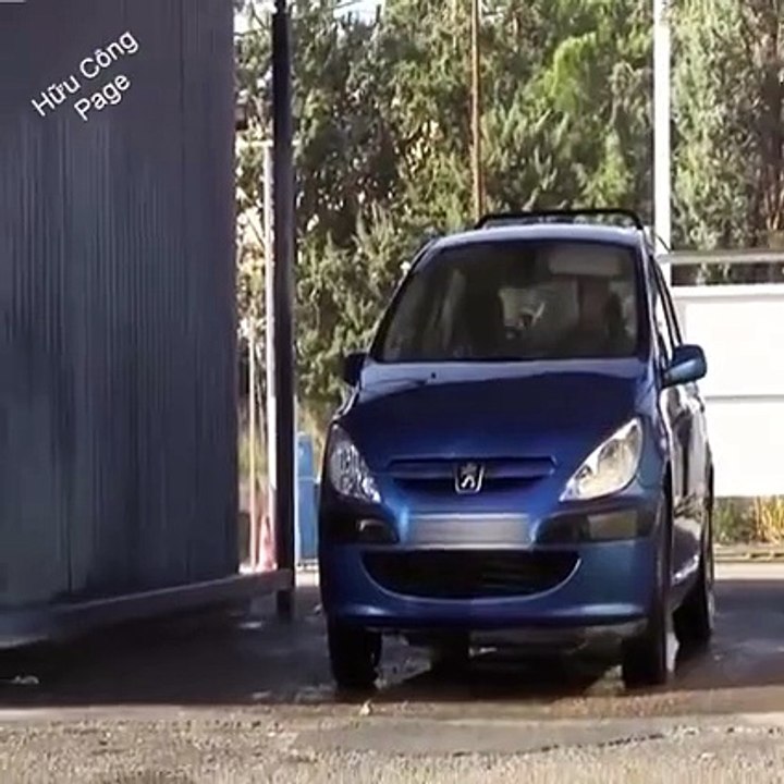 fun clip Facebook_6