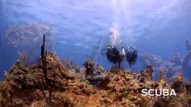 Blackbeard Cruises - Cave Rock - Scuba Diving