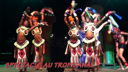Clip Dansacuba Specialiste des séjours à Cuba