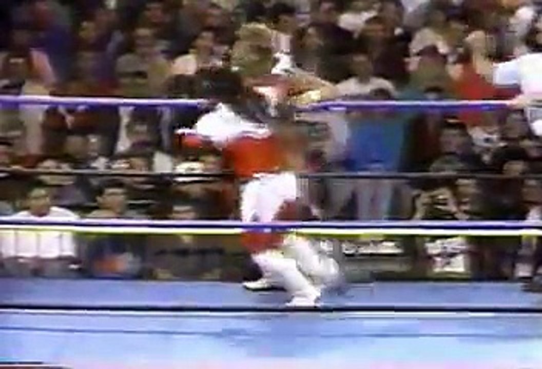 Jushin Thunder Liger vs. Brian Pillman