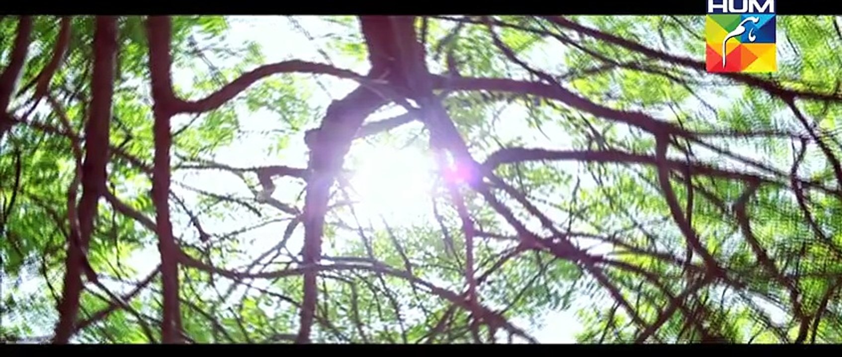 Tumhare Siwa OST Hum TV Drama HD Quality