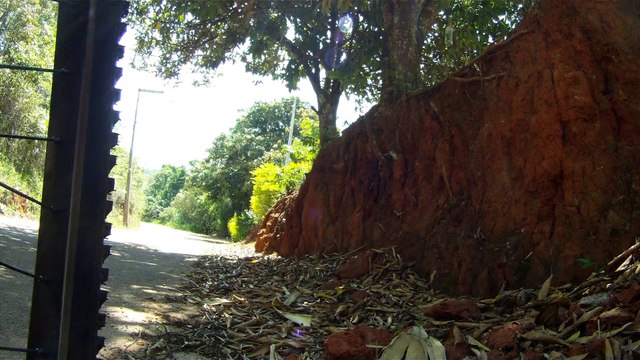 Dia dos professores, parabéns, homenagem de MTB pedal rural, Marcelo Ambrogi, 2015