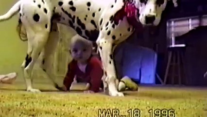 Cute Dogs And Adorable Babies- Compilation (1)