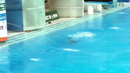 He Zi 何姿, post Guo Jingjing 郭晶晶 a lovely Chinese diver 01   04