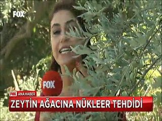 Canan Karatay 2025 yılında dünyayı kıtlık tehlikesi bekliyor dedi ve uyardı
