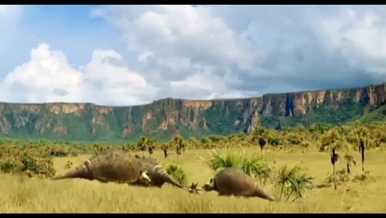 Gliptodón