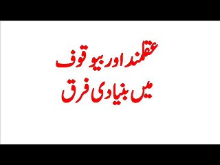 Wise vs Fool: Key Differences Explained 🧠