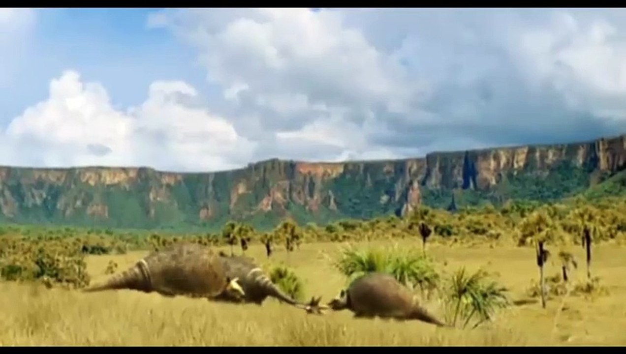 Gliptodón