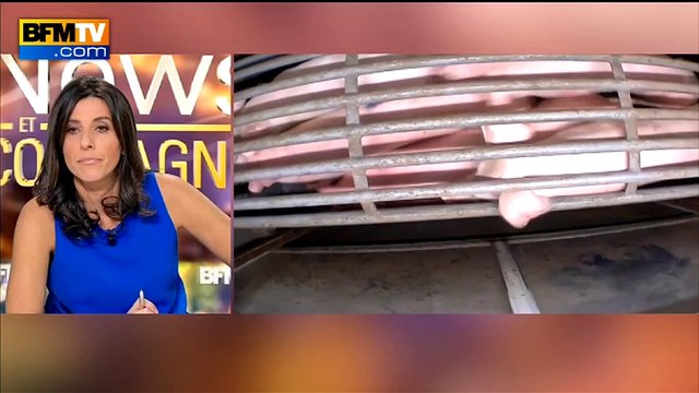 Abattoir fermé: Brigitte Bardot y voit des camps d'extermination