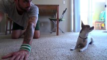 Bu tatlı köpek sahibiyle birlikte yoga yapıyor