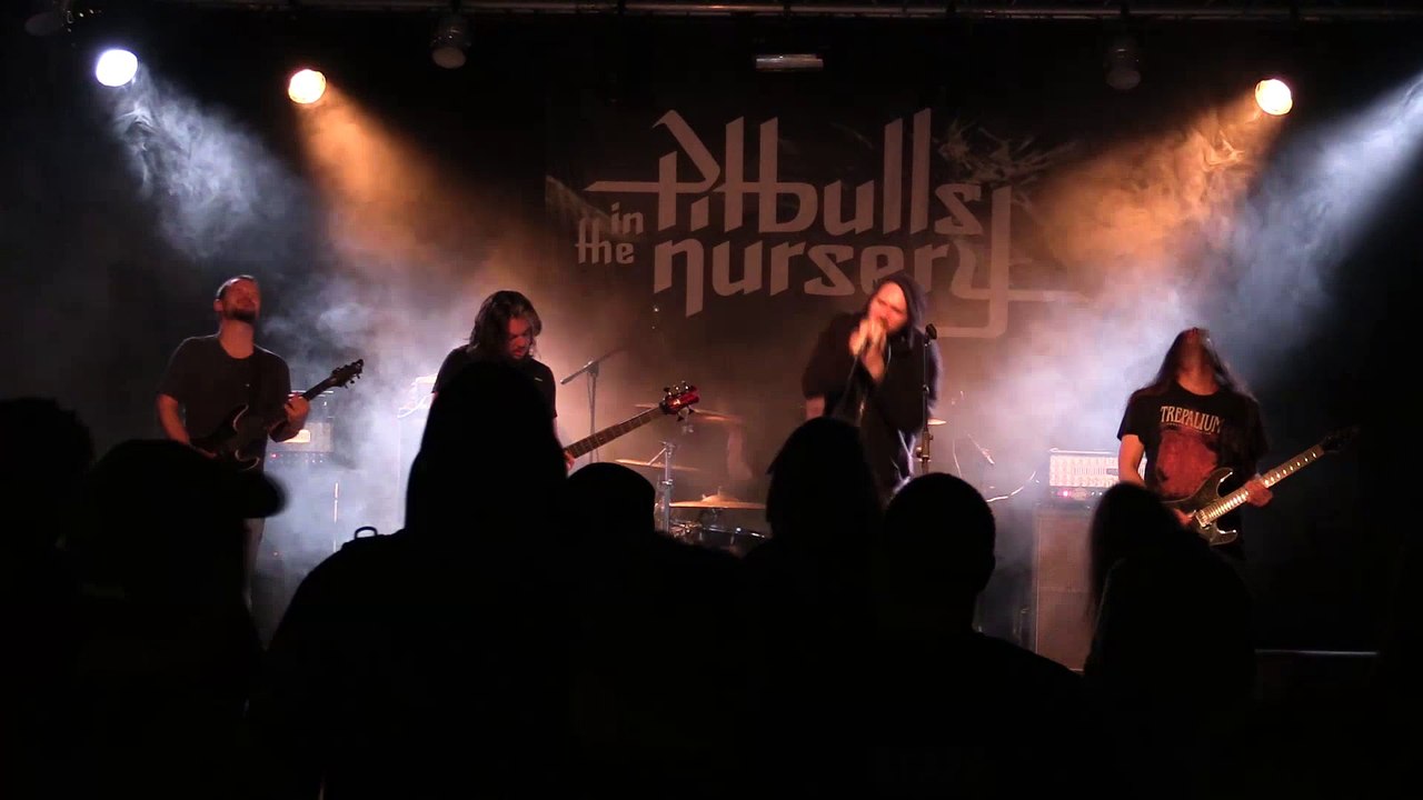 PITBULLS IN THE NURSERY