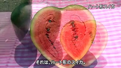 How Make Watermelon Heart Design Shape Farmer Must Watch _ Sonu HD Songs