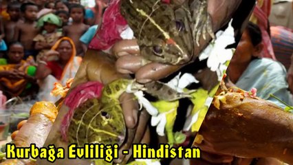 Dünyanın En İlginç 10 Düğünü