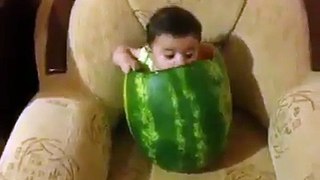 A Baby Eat Watermelon _ Sonu HD Songs