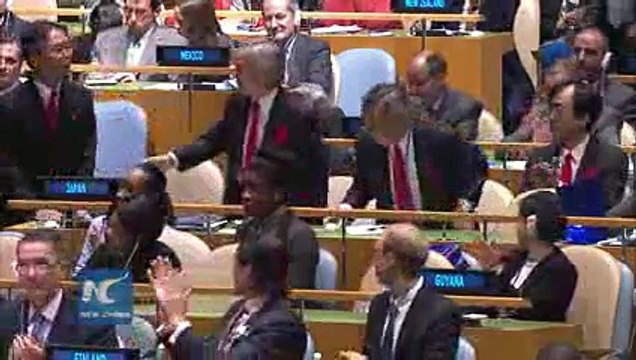 Egypt, Japan, Senegal, Ukraine and Uruguay elected as non-permanent members of UN Security Council