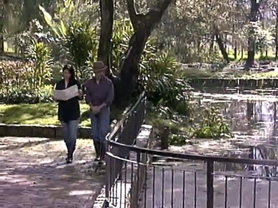 C55 Mujeres al límite - Enfrentada a un dilema moral