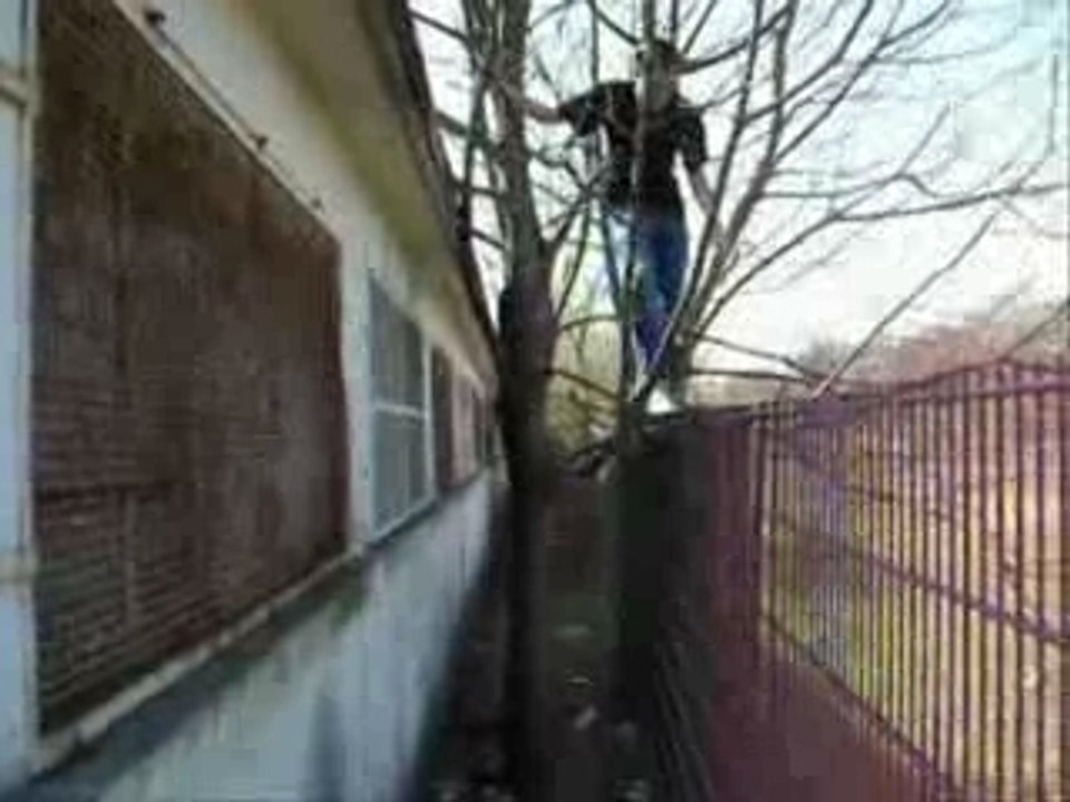 Sortie au parc
