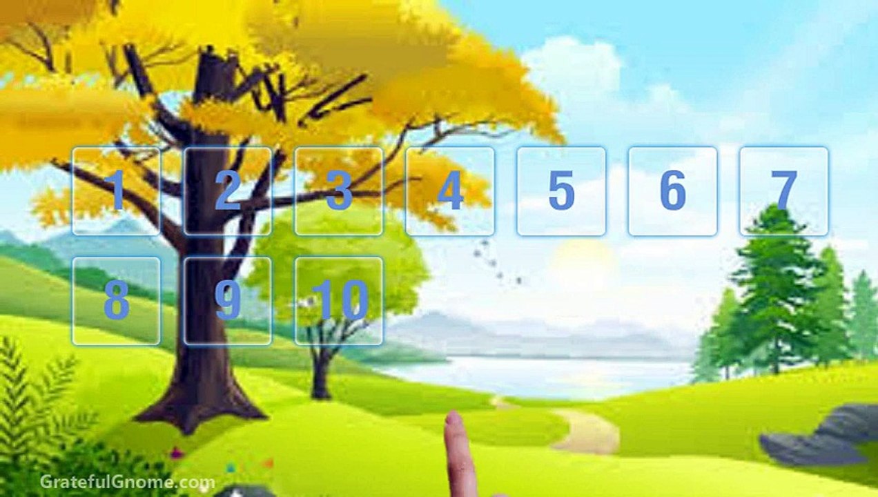 Tips on Feeding Birds Using Bird Feeders