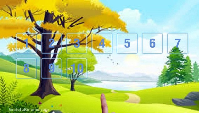 Tips on Feeding Birds Using Bird Feeders