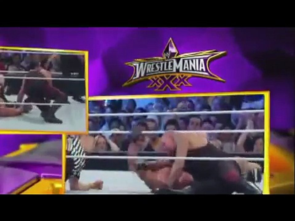 WRESTLEMANIA 30 UNDERTAKER VS BROCK LESNAR