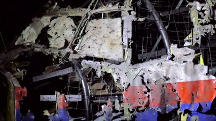 Animation shows fate of flight MH17 - BBC News