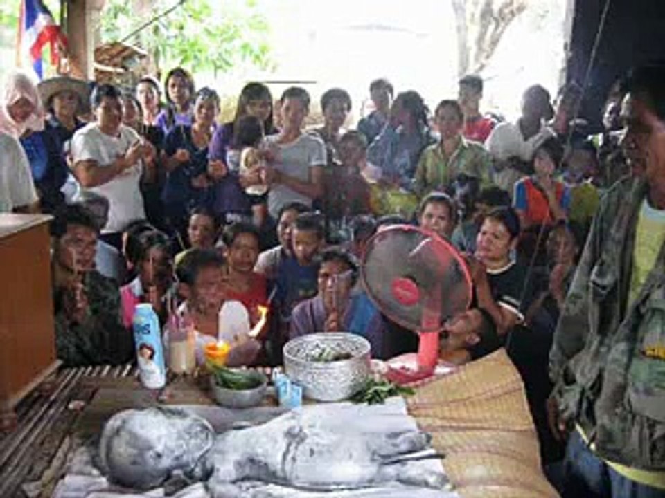 Buffalo Gave Birth to a Human Baby in Thailand