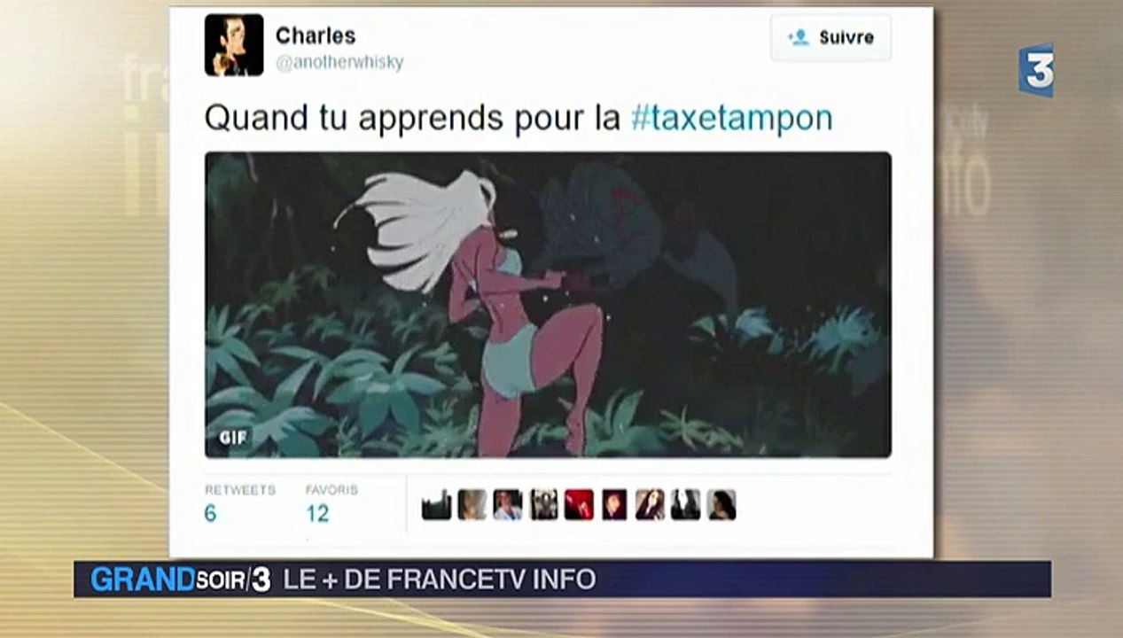 Le + de Francetv info : la baisse de la TVA sur les tampons et les serviettes hygiéniques rejetée à l'Assemblée