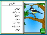 Bulbul Ka Bacha (Urdu Poem for Kids) - Video Dailymotion