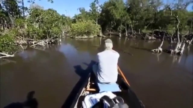 Что это за существо