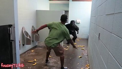 ESCAPED GORILLA BATHROOM PRANK!